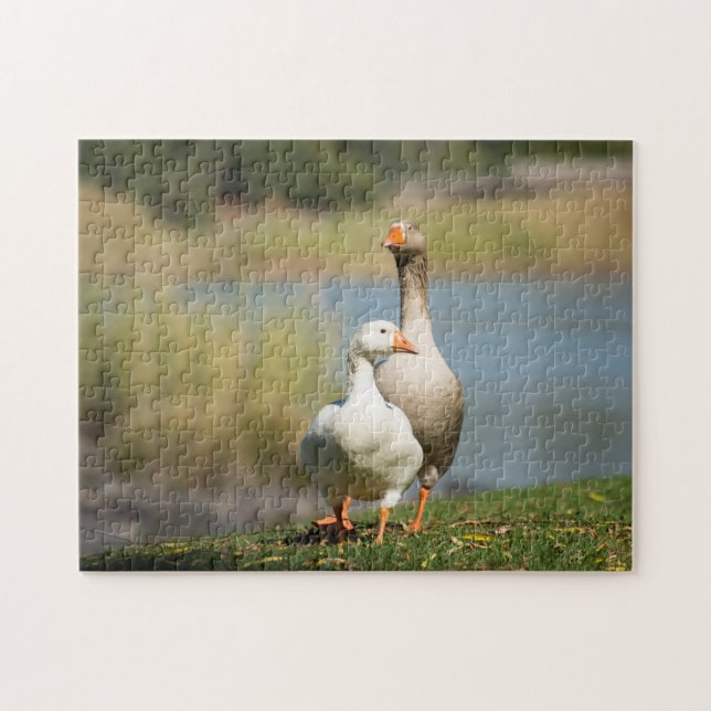 Jigsaw Puzzle of Two Geese (Horizontal)
