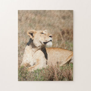 Jigsaw puzzle Portrait d'une lionne