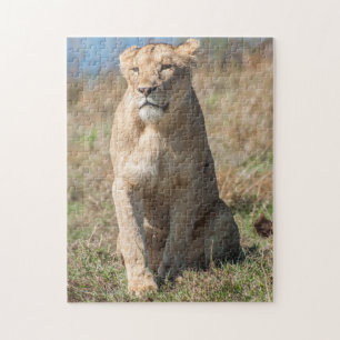 Jigsaw puzzle Portrait of a Lioness