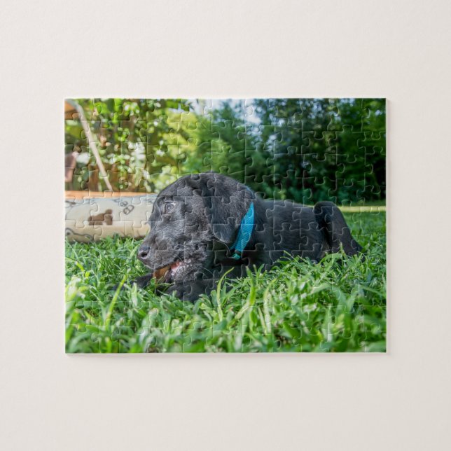 Jigsaw puzzle Puppy Labrador (Horizontal)