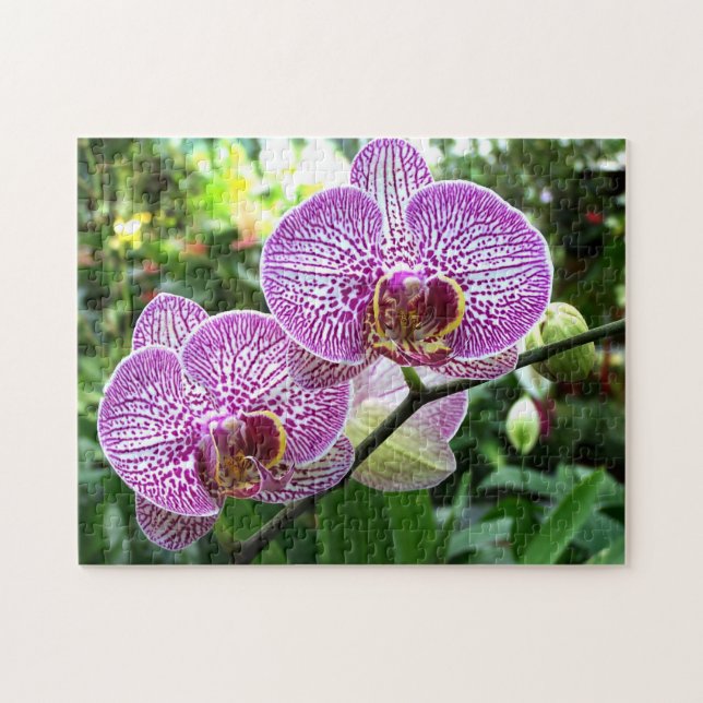 Jigsaw Puzzle Purple Freckled Orchids (Horizontal)