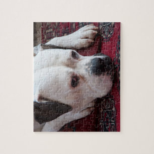 Jigsaw Puzzle: White Boxer Dog Jigsaw Puzzle