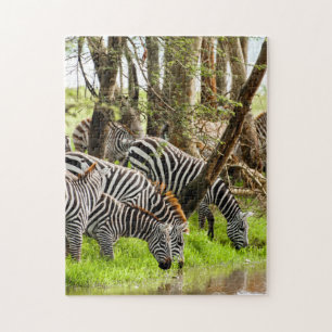 Jigsaw puzzle Zebras près de la rivière