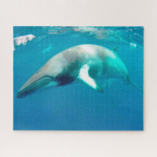 Jigsaws Minke Whales. Jigsaw Puzzle