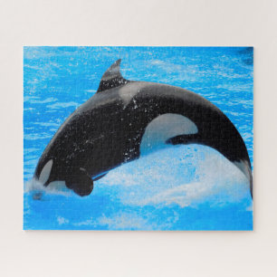 Jigsaws Orcas or Killer Whales Jigsaw Puzzle