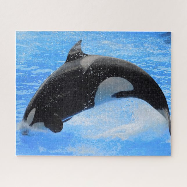 Jigsaws Orcas or Killer Whales Jigsaw Puzzle (Horizontal)
