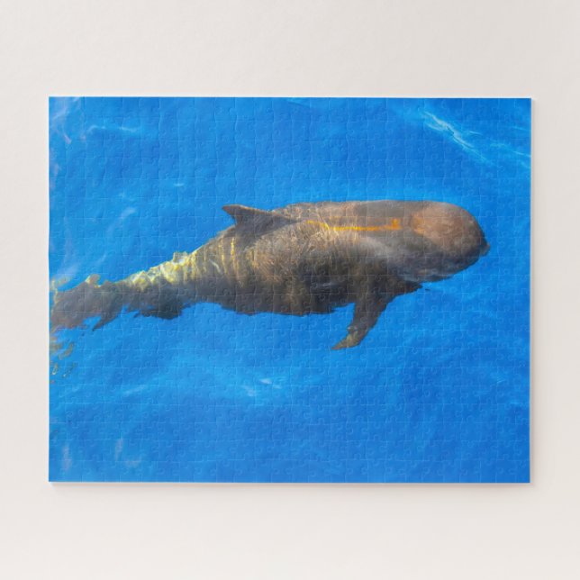 Jigsaws Pilot Whales Jigsaw Puzzle (Horizontal)