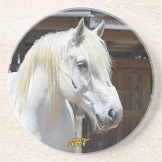 Jilly Horse Rescue Coaster