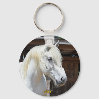 Jilly Horse Rescue Keychain