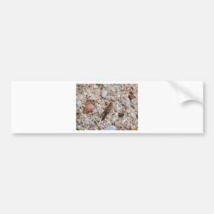 Jiminy Cricket Bumper Sticker