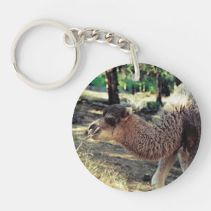 Jingle Baba and Jelly Baba Keychain