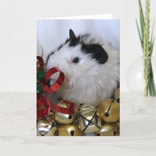 Jingle Bell Guinea Pig Holiday Card