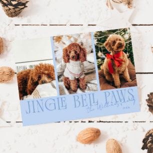 Jingle Bell Paws Christmas Icy Blue Dog Photo  Holiday Card