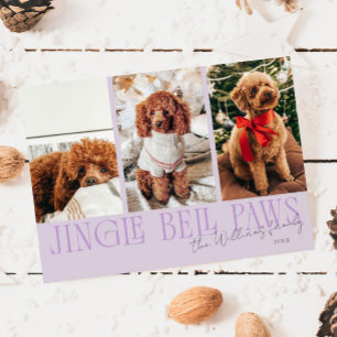 Jingle Bell Paws Christmas Purple Dog Photo Holiday Card