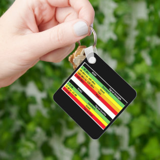 JML Communications Tower Logo & RSRP Signal Streng Keychain