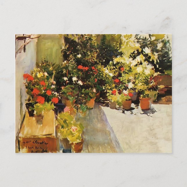 Joaquín Sorolla- A Rooftop with Flowers Postcard (Front)