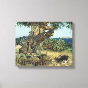 Joaquin Sorolla - The Carob Tree Canvas Print