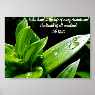Job 12:10, Print, Value Poster Paper (Matte)