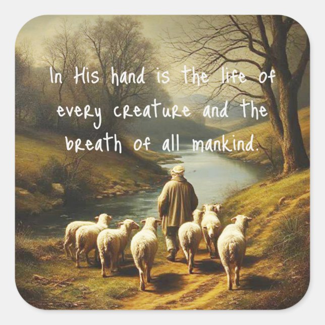 Job 12:10 Scripture Life of Every Creature Square Sticker (Front)