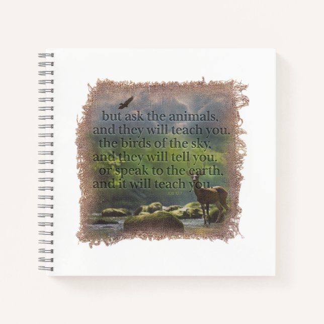 JOB 12:7 - Journal (Devant)