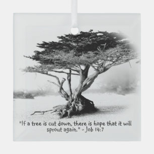 JOB 14:7 Ornement en verre