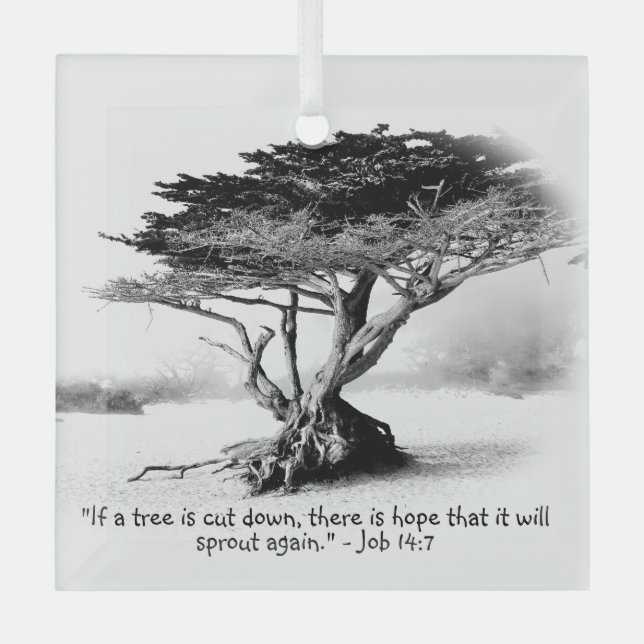 JOB 14:7 Ornement en verre (Recto)