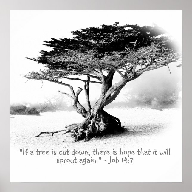 JOB 14:7 Poster (Devant)