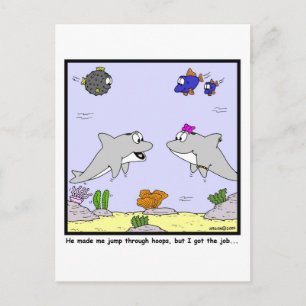 Job Interview: Dolphin cartoon Postcard