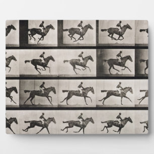 Jockey on a galloping horse, plate 627 from 'Anima Plaque