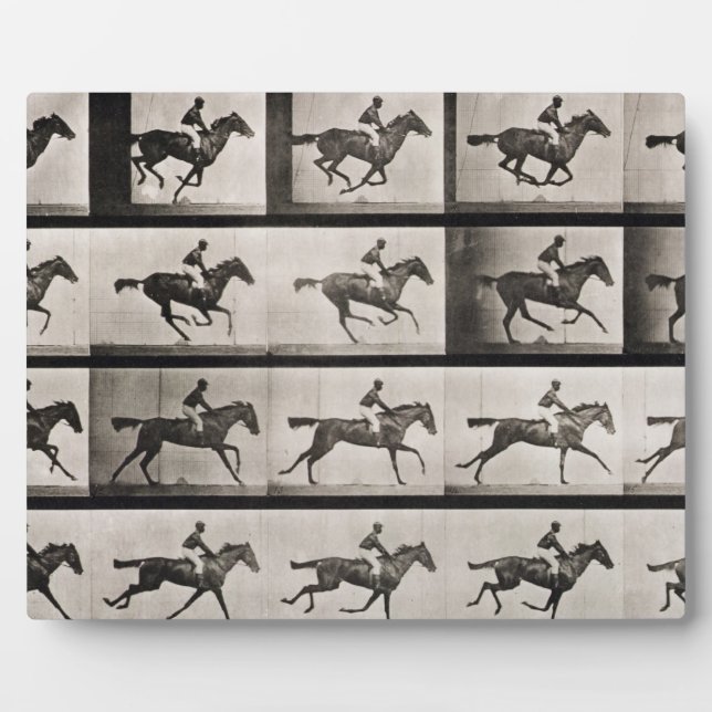 Jockey sur un cheval galopant, plaque 627 de 'Anim (Devant)