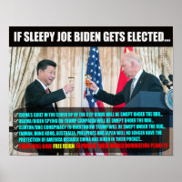 JOE BIDEN ELECTION POSTER