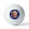 Joe Biden Good Lie