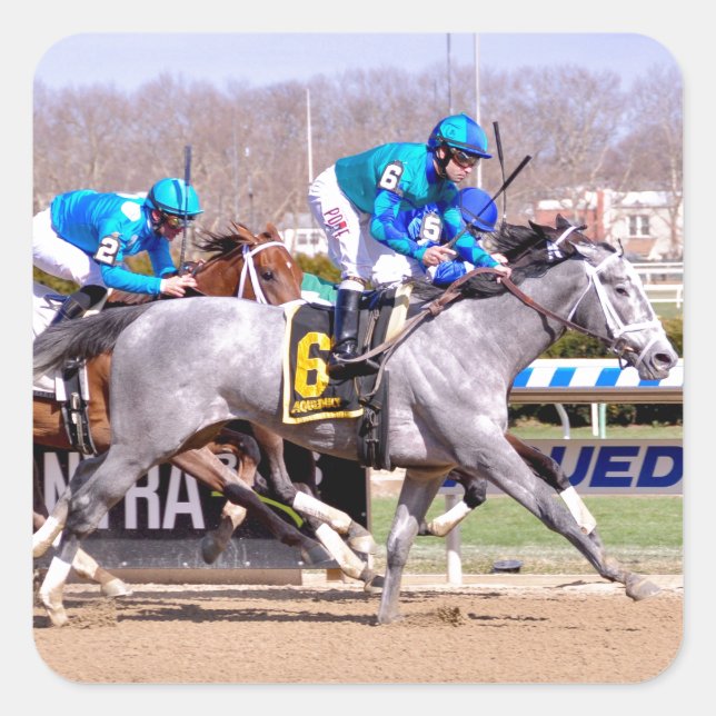 Joe Bravo - My Miss lilly Square Sticker (Front)