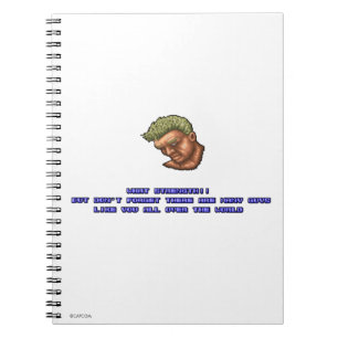 Joe KO'ed Notebook