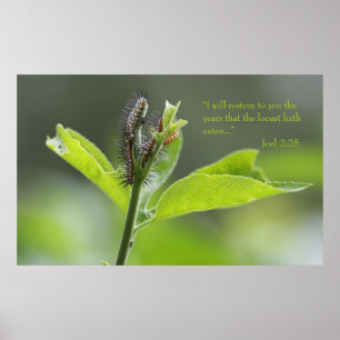 Joel 2:25 Poster des Écritures (Version C)