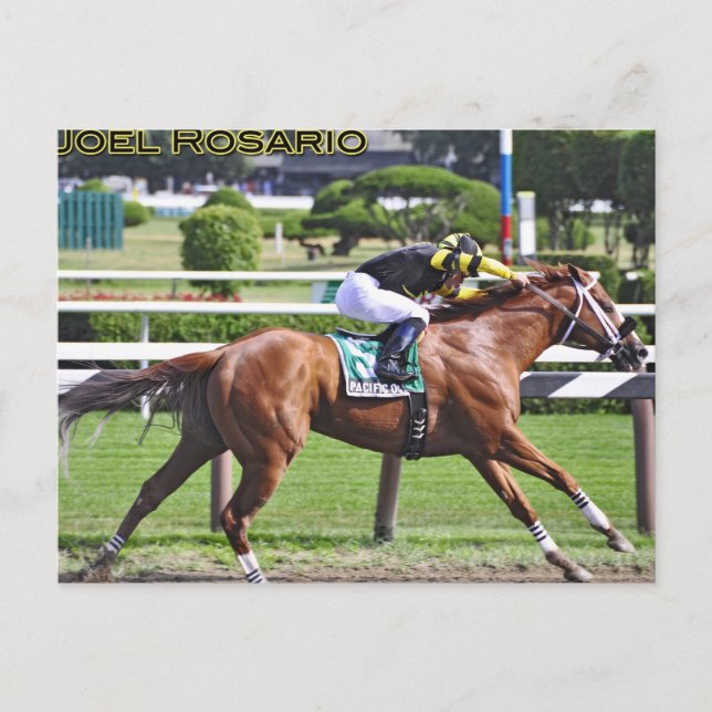 Joel Rosario aboard Pacific Ocean Postcard (Front)