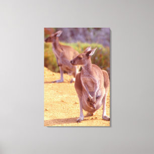 JOEY and MOM 24x36 Canvas Print