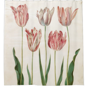 Johannes Simon Holtzbecher Tulips