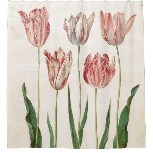 Johannes Simon Holtzbecher Tulips (Front)