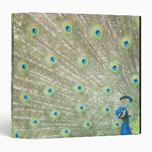 Johannesburg Zoo, Gauteng Province, South Africa Binder