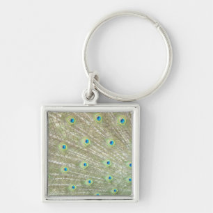 Johannesburg Zoo, Gauteng Province, South Africa Keychain
