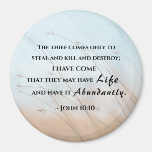 John 10:10 I have come that they may have life Magnet