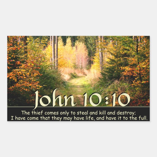 John 10:10 I have come that they may have life Sticker (Front)
