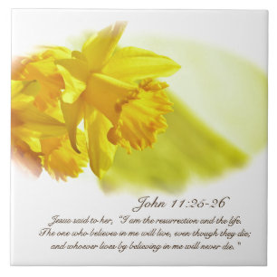 John 11:25-26, Easter, Spring Yellow Daffodils Tile