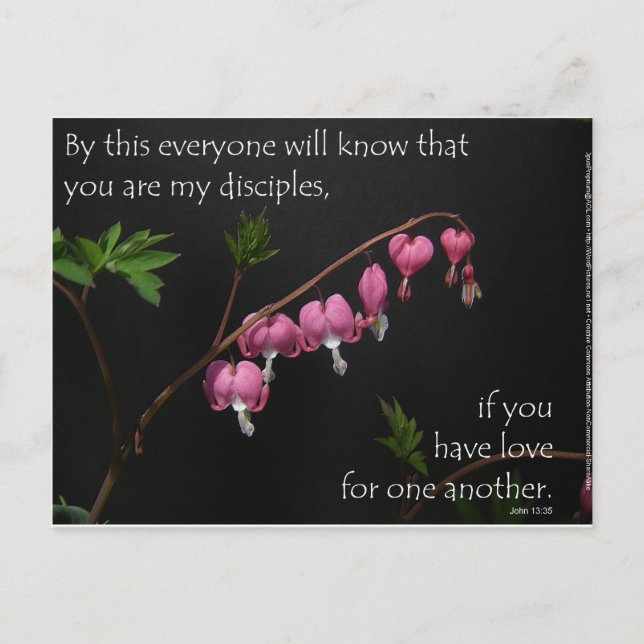 John 13:35 - Love for one another Postcard (Front)