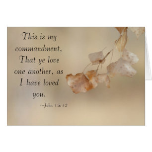 John 15:12 love one another