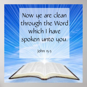 John 15:3  poster