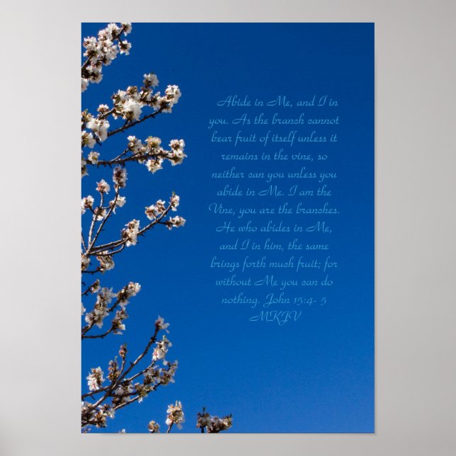 John 15:4-5 Abide Poster (Front)