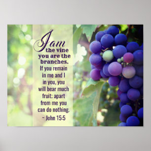 John 15:5 I Am the Vine You are the Branches Bible Poster