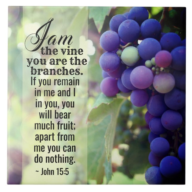 John 15:5 I Am the Vine You are the Branches Bible Tile (Front)